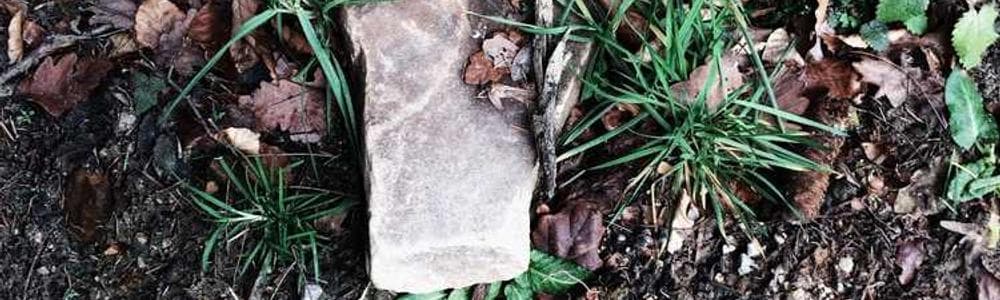 Portfolio project photo 1