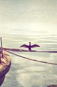 Portfolio project photo 4