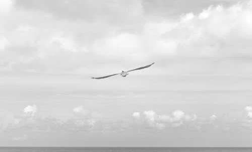 Portfolio project photo 3